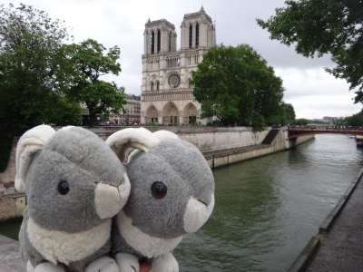 Notre Dame with Seine