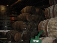 Inside Wine Cellar