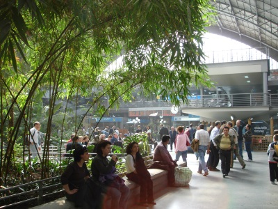 Garden at Atocha Station