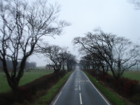 Road in Scotland